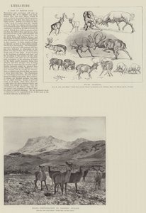A Book on British Deer by John Guille Millais